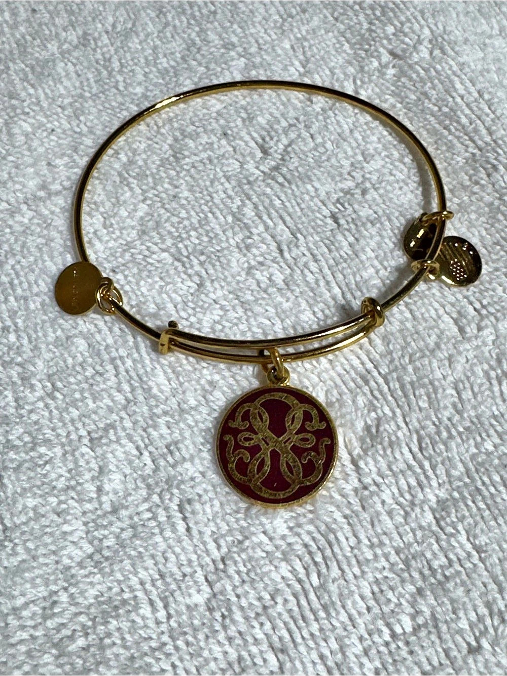 Alex and Ani Path of Life Charm Bangle Gold-Tone Charm Bangle